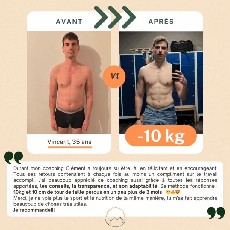 Avis_Vincent_1